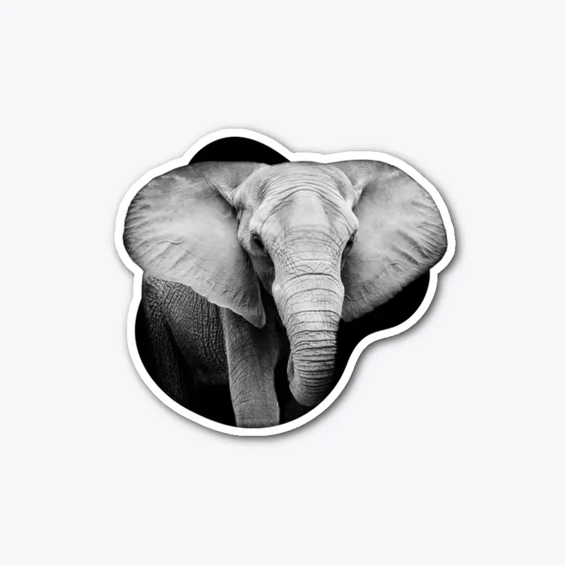 African Elephant